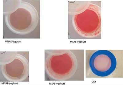 Antioxidant, enzymes inhibitory, physicochemical and sensory properties of instant bio-yoghurts containing multi-purpose natural additives